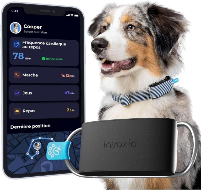 Invoxia Biotracker GPS et Suivi Santé pour Chien