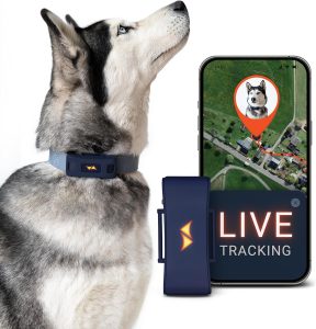 PAJ PET Finder 4G