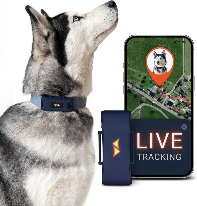 PAJ Traceur GPS 4G pour Chiens, PET Finder 4G