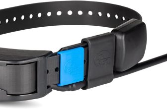 Notre test du PetSafe SportDOG TEK Série 2.0 Add-A-Dog