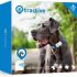 Notre test de Weenect Cats 2