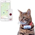 Notre test de Weenect Cats 2
