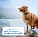Notre test de Traceur GPS Tractive Édition 2019