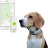 Collier GPS chien sans abonnement : localiser sans frais mensuels