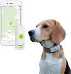 Faut-il que vous preniez un collier GPS pour vos animaux de compagnie ?