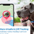 Notre test de Weenect Dogs 2 – Collier GPS pour chien