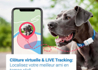 Comment fonctionne un collier GPS ? Découvrons-le.