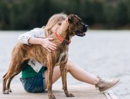 Pourquoi acheter un collier GPS pour chien ? notre réponse