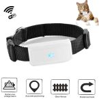 Quel collier GPS pour chien ? Notre guide !