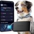 Autonomie d’un collier GPS pour chien : combien de temps ?