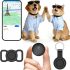 Notre test du KOIFEIL Traceur GPS Chat Chien