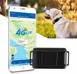 Notre test du TKMARS TK919Pro Collier GPS Chien de Chasse