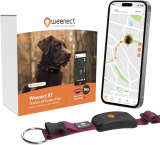 Notre test du Weenect Chien XT, collier GPS pour chien