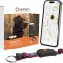 Notre test du PAJ PET Finder 4G, traceur GPS pour chien