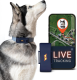 Notre test du PAJ PET Finder 4G, traceur GPS pour chien