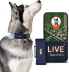 Notre test du PAJ PET Finder 4G, traceur GPS pour chien