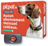 Notre test du PitPat Traceur GPS pour Chien