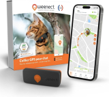 Notre test du Weenect Chat XS, collier GPS pour chat